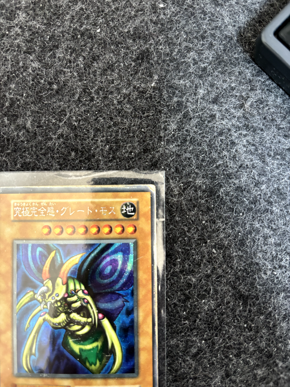 7981391