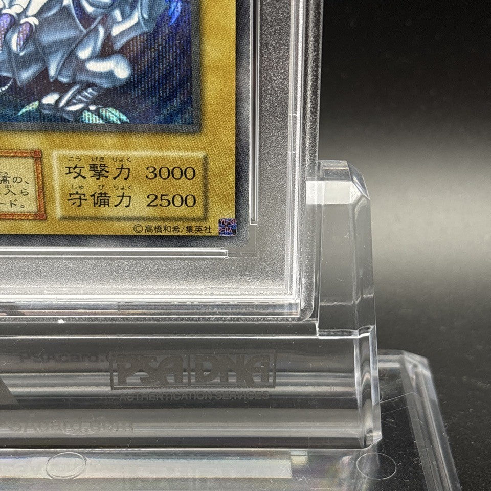 7981531
