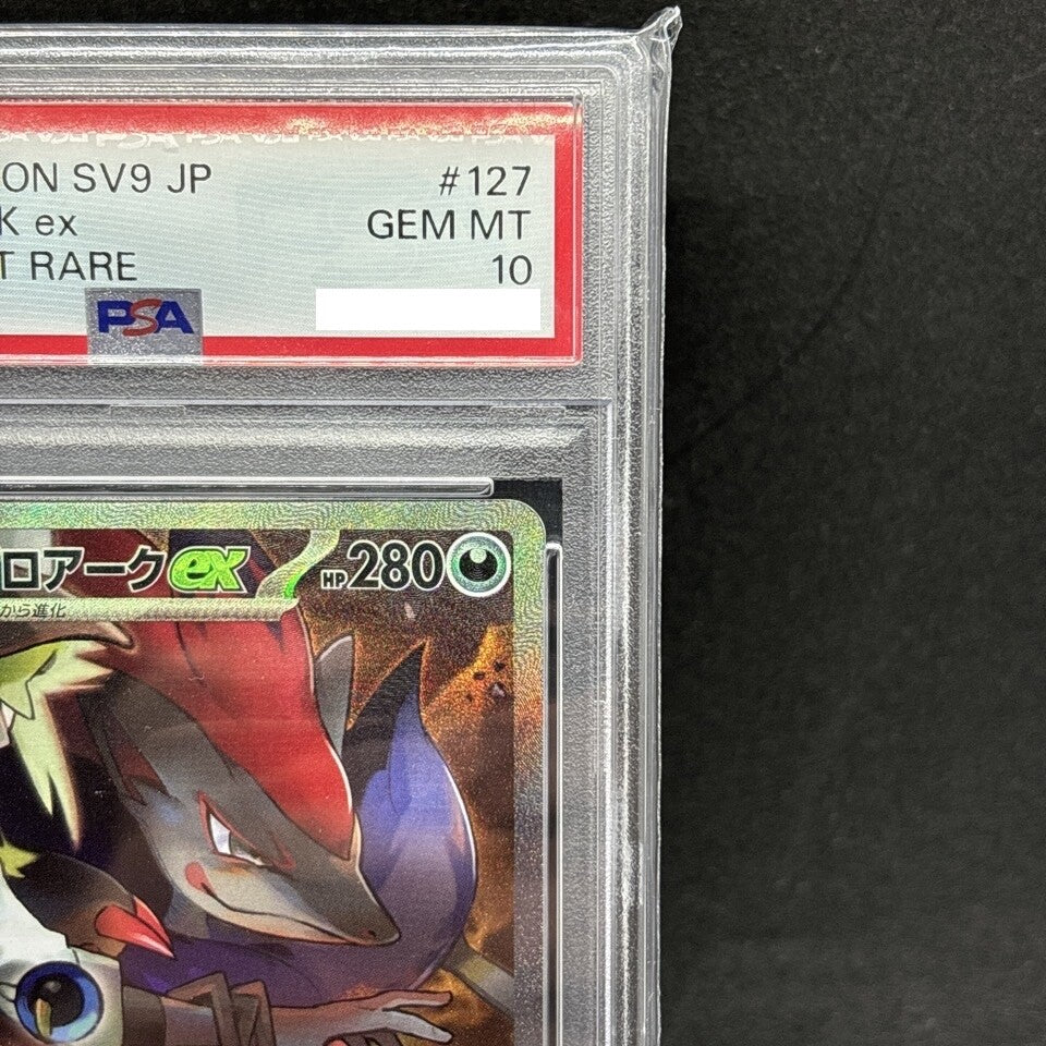 7988017