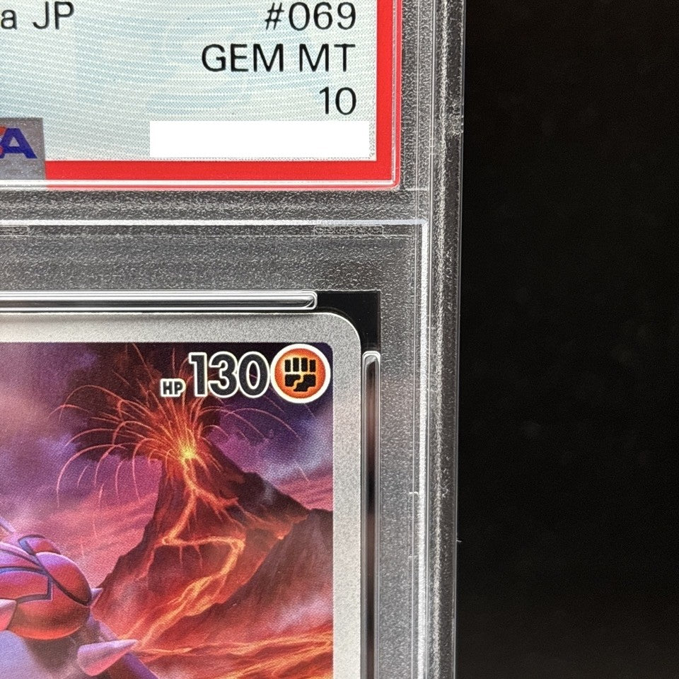 7981962