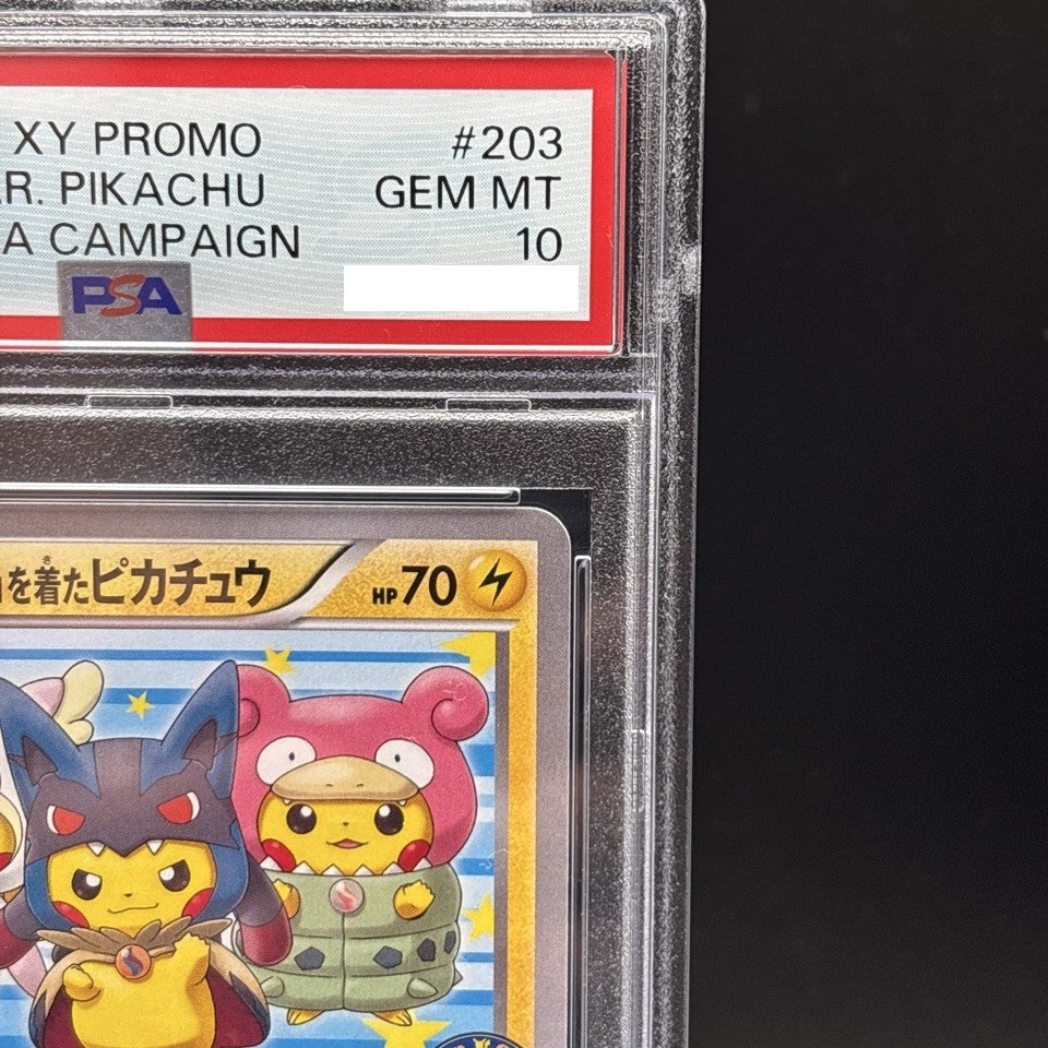 7981637