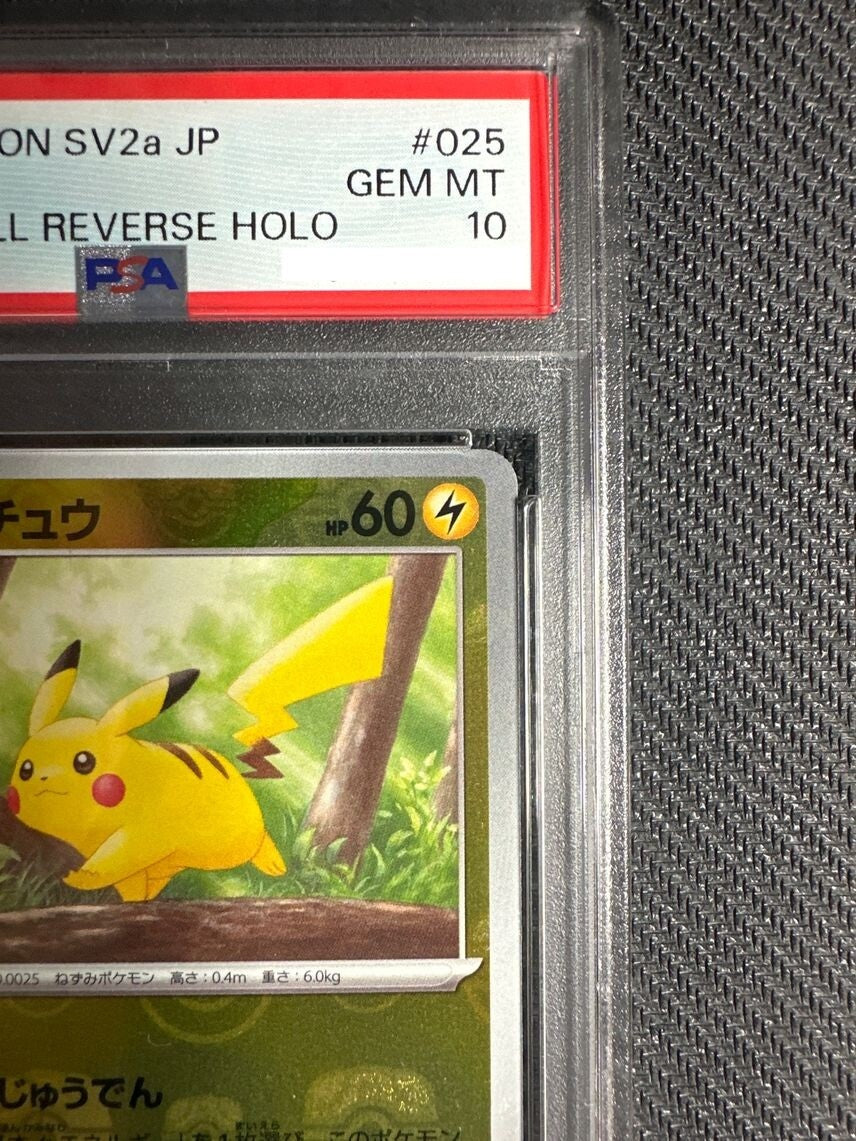 7982073