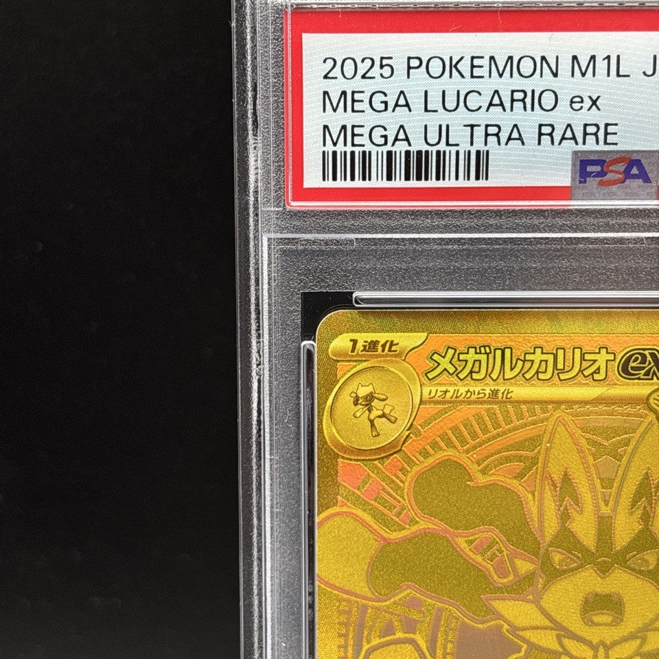 7981876
