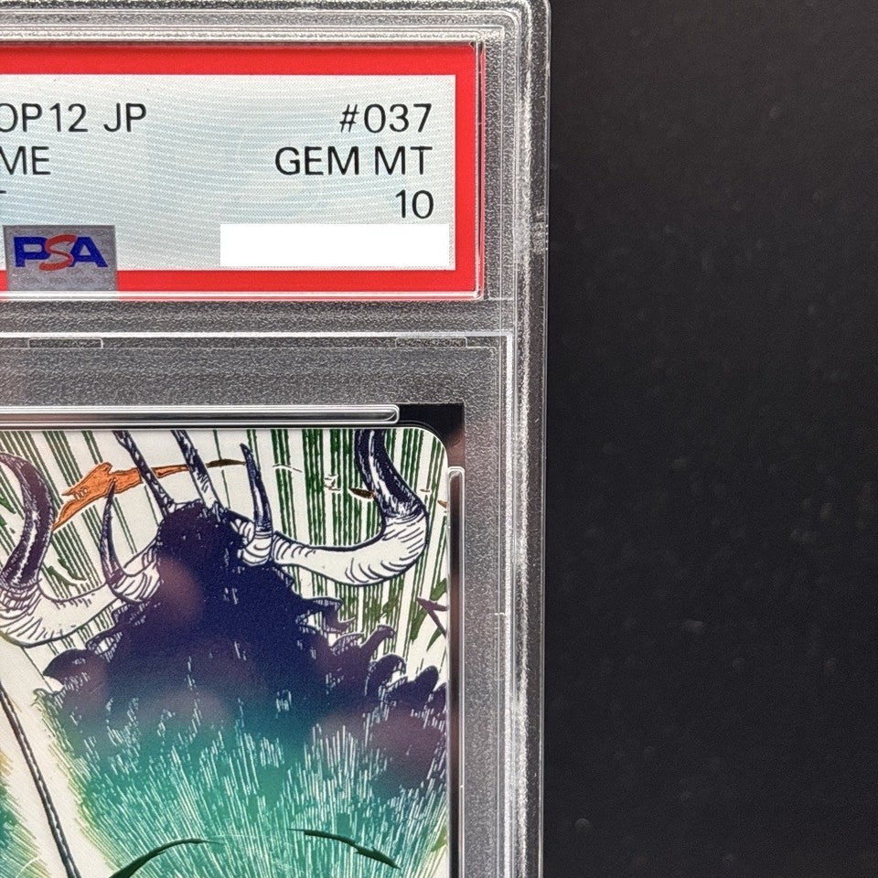 7988381
